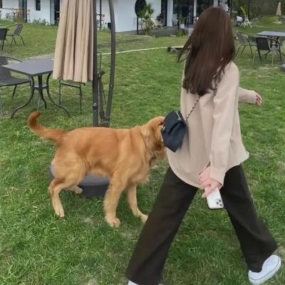西方就是西方